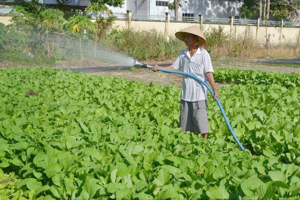Gần 92% lao động nông thôn ở huyện Dương Minh Châu đều có việc làm sau học nghề